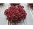 Грейс семена салата лоло-россо красного 1900 шт ЭС мини ELITE PLANT-BREEDING & SEED PRODUCTION Co. 1026995255 3
