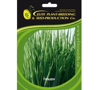 Гульден семена лука батуна (на зелень) 1000 г ЭС (банка) ELITE PLANT-BREEDING & SEED PRODUCTION Co. 10717124