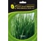 Гульден семена лука батуна (на зелень) 1000 г ЭС (банка) ELITE PLANT-BREEDING & SEED PRODUCTION Co. 10717124 1