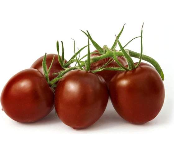 Иман F1 семена томата 100 шт ЭС мини ELITE PLANT-BREEDING & SEED PRODUCTION Co. 1026996124