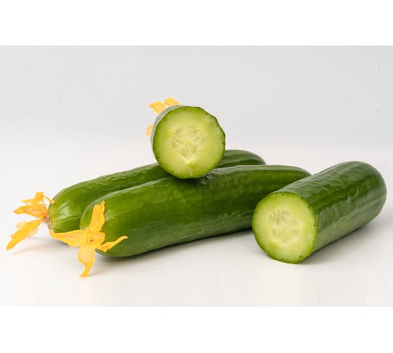 Ермак F1 семена огурца 100 шт ЭС мини ELITE PLANT-BREEDING & SEED PRODUCTION Co. 10710958