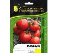 Изабель F1 семена томата 20 шт ЭС мини ELITE PLANT-BREEDING & SEED PRODUCTION Co. 1999942841