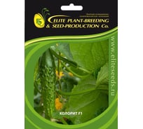 Колорит F1 семена огурца 100 шт ЭС мини ELITE PLANT-BREEDING & SEED PRODUCTION Co. 1026993681