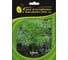 Изумруд семена укропа 50 г ЭС ELITE PLANT-BREEDING & SEED PRODUCTION Co. 1026995455 1