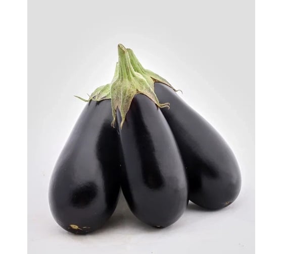 Кочегар F1 семена баклажана 250 шт ЭС мини ELITE PLANT-BREEDING & SEED PRODUCTION Co. 1071855768