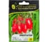 Имитатор F1 семена томата 20 шт ЭС мини ELITE PLANT-BREEDING & SEED PRODUCTION Co. 1026995224 1