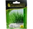 Гульден семена лука батуна (на зелень) 10 г ЭС мини ELITE PLANT-BREEDING & SEED PRODUCTION Co. 1999942735 2