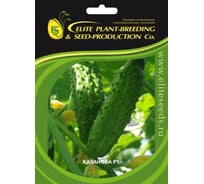 Казанова F1 семена огурца 500 шт ЭС мини ELITE PLANT-BREEDING & SEED PRODUCTION Co. 1071855765