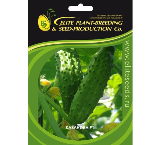 Казанова F1 семена огурца 500 шт ЭС мини ELITE PLANT-BREEDING & SEED PRODUCTION Co. 1071855765 1