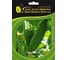 Казанова F1 семена огурца 500 шт ЭС мини ELITE PLANT-BREEDING & SEED PRODUCTION Co. 1071855765 1