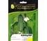 Канцлер F1 семена огурца 20 шт ЭС мини ELITE PLANT-BREEDING & SEED PRODUCTION Co. 1026994993 1