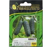 Квест F1 семена огурца 500 шт ЭС мини ELITE PLANT-BREEDING & SEED PRODUCTION Co. 1070015586