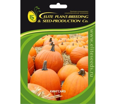 Кинг Сайз семена тыквы 20 шт ЭС мини ELITE PLANT-BREEDING & SEED PRODUCTION Co. 1026995220
