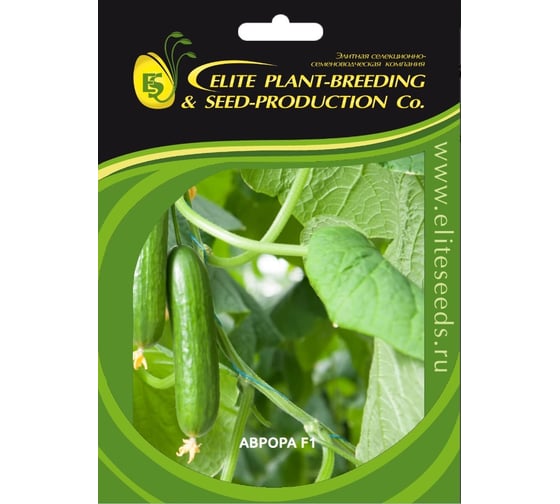 Аврора F1 семена огурца 500 шт ЭС мини ELITE PLANT-BREEDING & SEED PRODUCTION Co. 1071860754