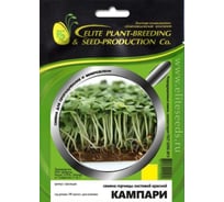 Микрозелень-семена для проращивания. Горчица листовая красная Кампари 20 г ЭС мини ELITE PLANT-BREEDING & SEED PRODUCTION Co. 1026999122