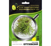 Микрозелень-семена для проращивания. Укроп Кутузовский 750 г ЭС ( банка) ELITE PLANT-BREEDING & SEED PRODUCTION Co. 107079899