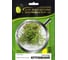 Микрозелень-семена для проращивания. Укроп Кутузовский 750 г ЭС ( банка) ELITE PLANT-BREEDING & SEED PRODUCTION Co. 107079899 1