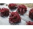 Меркурий семена салата батавия красного 20 г ЭС мини ELITE PLANT-BREEDING & SEED PRODUCTION Co. 1071860368 3