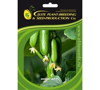 Министар F1 семена огурца 100 шт ЭС мини ELITE PLANT-BREEDING & SEED PRODUCTION Co. 107079775