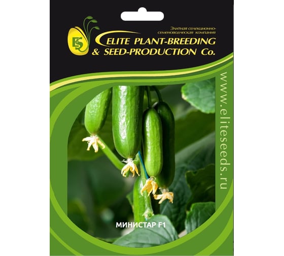 Министар F1 семена огурца 100 шт ЭС мини ELITE PLANT-BREEDING & SEED PRODUCTION Co. 107079775 1