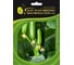 Министар F1 семена огурца 100 шт ЭС мини ELITE PLANT-BREEDING & SEED PRODUCTION Co. 107079775 1