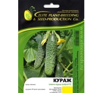 Кураж F1 семена огурца 500 шт ЭС мини ELITE PLANT-BREEDING & SEED PRODUCTION Co. 1071860301