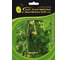 Магнит F1 семена огурца 500 шт ЭС мини ELITE PLANT-BREEDING & SEED PRODUCTION Co. 1071860714 1