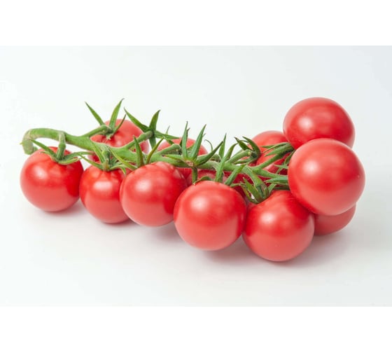 Малибу F1 семена томата 100 шт ЭС мини ELITE PLANT-BREEDING & SEED PRODUCTION Co. 1026993581