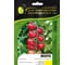 Мопс F1 семена томата 20 шт ЭС мини ELITE PLANT-BREEDING & SEED PRODUCTION Co. 1026995222 1