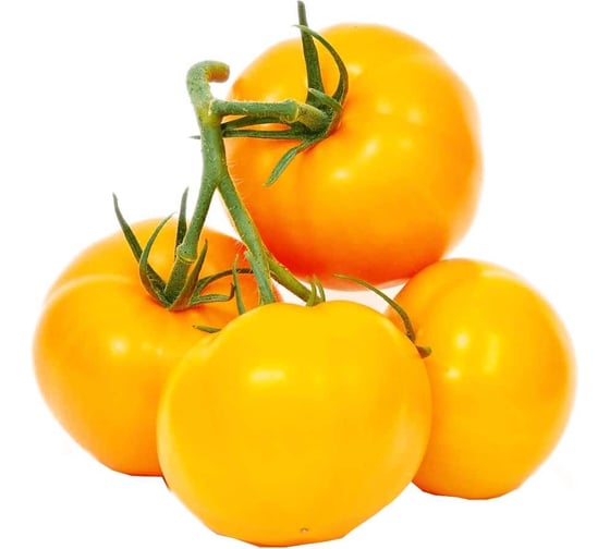 Лимонад F1 семена томата 20 шт ЭС мини ELITE PLANT-BREEDING & SEED PRODUCTION Co. 1071855669