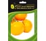 Лимонад F1 семена томата 20 шт ЭС мини ELITE PLANT-BREEDING & SEED PRODUCTION Co. 1071855669 1