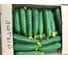 Лютый F1 семена огурца 500 шт ЭС мини ELITE PLANT-BREEDING & SEED PRODUCTION Co. 1071860293 2