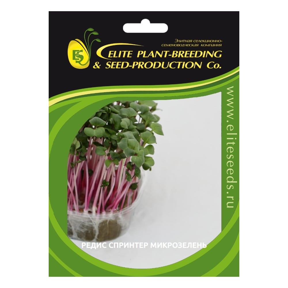 Микрозелень-семена для проращивания. Редис Спринтер 1000 г ЭС ( банка ...