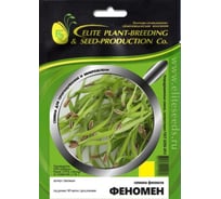 Микрозелень-семена для проращивания. Фенхель Феномен 15 г ЭС мини ELITE PLANT-BREEDING & SEED PRODUCTION Co. 10717568