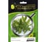 Микрозелень-семена для проращивания. Кориандр Дебют 10 г ЭС мини ELITE PLANT-BREEDING & SEED PRODUCTION Co. 10717564 1