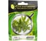 Микрозелень-семена для проращивания. Кориандр Дебют 10 г ЭС мини ELITE PLANT-BREEDING & SEED PRODUCTION Co. 10717564 2