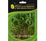 Микрозелень-семена для проращивания. Морковь Шантанэ 20 г ЭС мини ELITE PLANT-BREEDING & SEED PRODUCTION Co. 1070009687 1