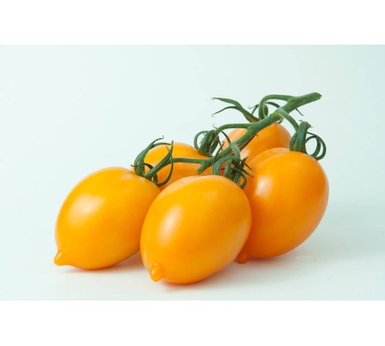 Миньон F1 семена томата 100 шт ЭС мини ELITE PLANT-BREEDING & SEED PRODUCTION Co. 1070016320