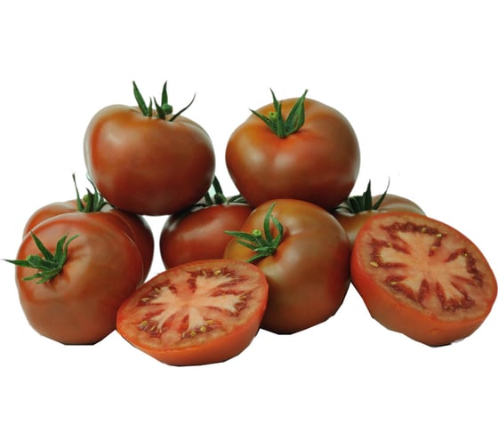 Мулат Б F1 семена томата 20 шт ЭС мини ELITE PLANT-BREEDING & SEED PRODUCTION Co. 1071855671