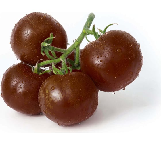 Наоми F1 семена томата 100 шт ЭС мини ELITE PLANT-BREEDING & SEED PRODUCTION Co. 1026994004