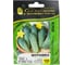 Мурашка F1 семена огурца 100 шт ЭС мини ELITE PLANT-BREEDING & SEED PRODUCTION Co. 1026993570 3