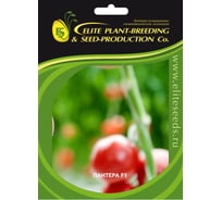 Пантера F1 семена томата 500 шт ЭС мини ELITE PLANT-BREEDING & SEED PRODUCTION Co. 1071860372