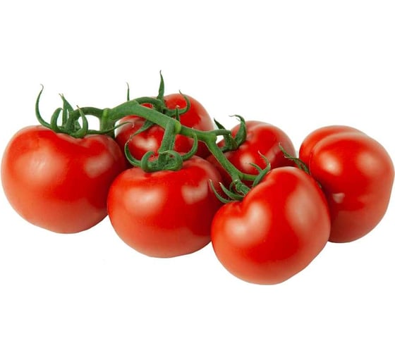 Мэри F1 семена томата 100 шт ЭС мини ELITE PLANT-BREEDING & SEED PRODUCTION Co. 1026998721