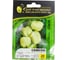 Самсон F1 семена перца сладкого 20 шт ЭС мини ELITE PLANT-BREEDING & SEED PRODUCTION Co. 1026995301 1