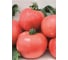 Турмалин семена томата 10 г ЭС мини ELITE PLANT-BREEDING & SEED PRODUCTION Co. 1026995232 2