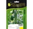 Раис F1 семена огурца 500 шт ЭС мини ELITE PLANT-BREEDING & SEED PRODUCTION Co. 1071860295 1