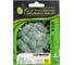 Серфинг F1 семена капусты брокколи 50 шт ЭС мини ELITE PLANT-BREEDING & SEED PRODUCTION Co. 1999943401 3