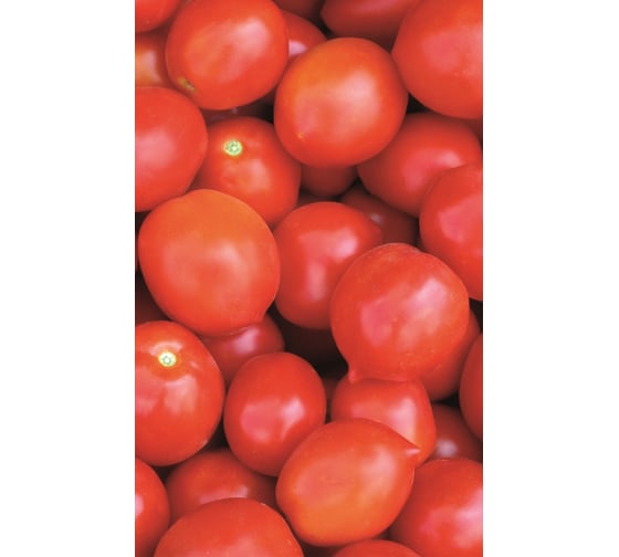 Роксет семена томата 10 г ЭС мини ELITE PLANT-BREEDING & SEED PRODUCTION Co. 1026995246