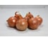 Октант F1 семена лука репчатого желтого 1000 г ЭС (банка) ELITE PLANT-BREEDING & SEED PRODUCTION Co. 10710932 2