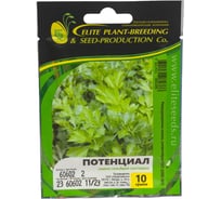 Потенциал семена сельдерея листового 10 г ЭС мини ELITE PLANT-BREEDING & SEED PRODUCTION Co. 1999947928